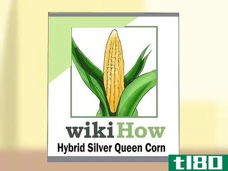 Image titled Grow Silver Queen Corn Step 1