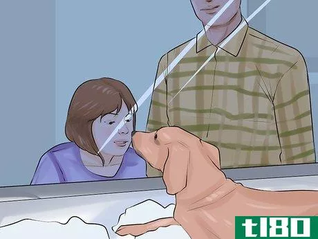 Image titled Involve Your Kids in Selecting a Dog Step 5