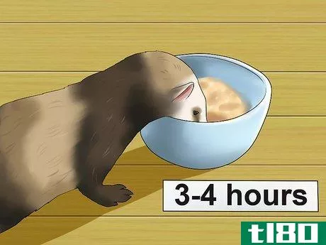 Image titled Keep Your Ferret's Hair Healthy Step 3