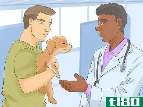 Image titled Help Your Dog Live Longer Step 1
