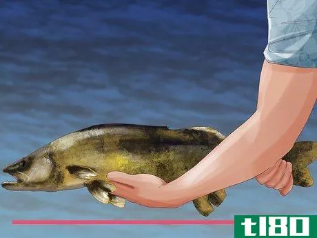 Image titled Hold a Fish Step 6