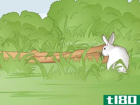 Image titled Hunt Rabbit Step 7