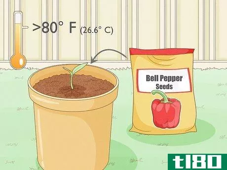 Image titled Grow Bell Peppers Step 4