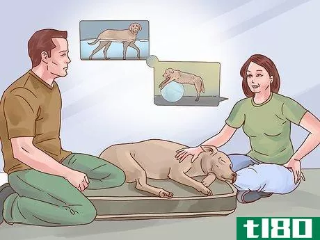 Image titled Help Your Dog Through Physical Therapy Step 5