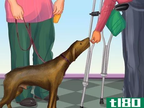 Image titled Get a Service Dog if You're Blind or Visually Impaired Step 9