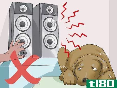 Image titled Handle New Noise Phobias in Older Dogs Step 5