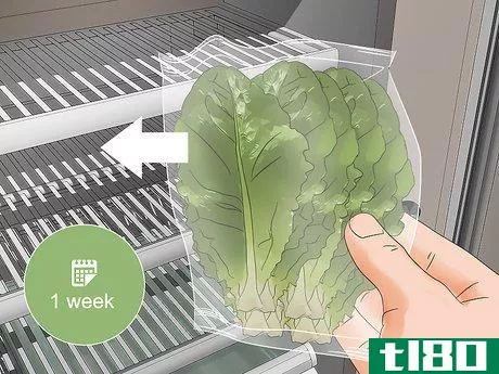 Image titled Grow Lettuce in a Pot Step 21