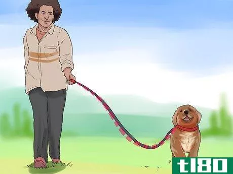 Image titled Hold a Dog's Leash Step 9
