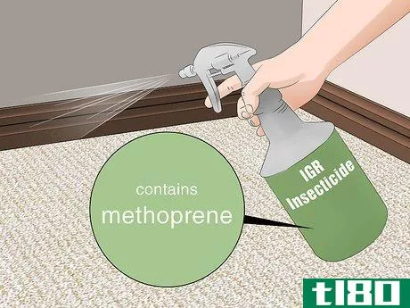 Image titled Get Rid of Fleas in the House Fast Step 4