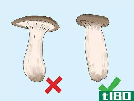 Image titled Grow King Oyster Mushrooms Step 14
