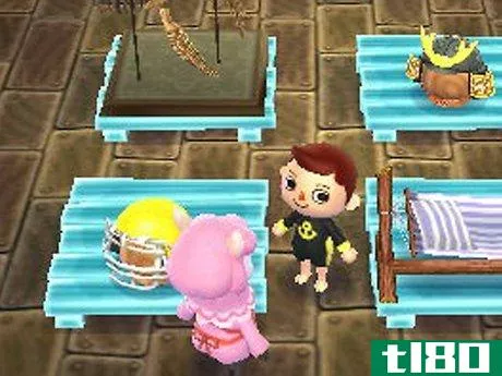 Image titled Have the Perfect Animal Crossing Wild World Life Step 6
