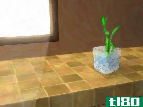 Image titled Grow Lucky Bamboo Step 5