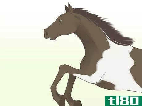 Image titled Get a Horse Fit Step 14