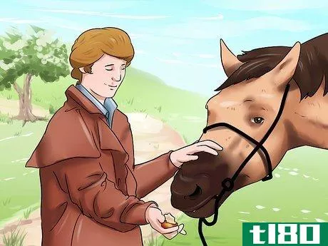 Image titled Get a Head Shy Horse To Trust You Step 10