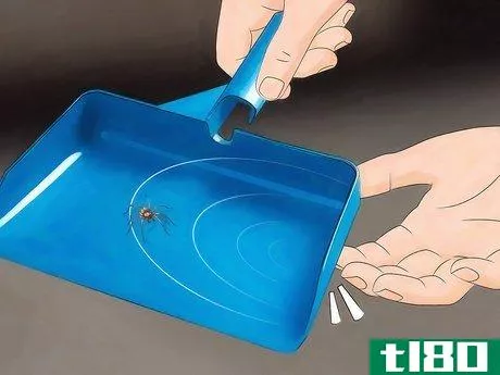Image titled Get Spiders Out of Your House Without Killing Them Step 12