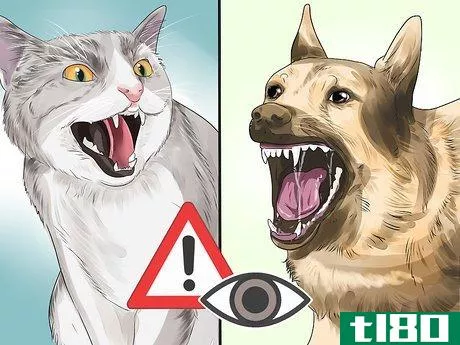 Image titled Know if a Pet Bite Is Serious Step 12