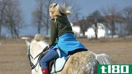 Image titled Get Your Horse to Trust You Step 9