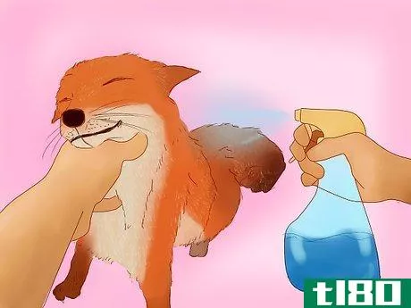 Image titled Groom a Pet Fox Step 7