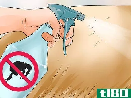 Image titled Keep Fleas Off Dogs Step 11