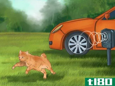 Image titled Keep Cats Off Cars Step 5