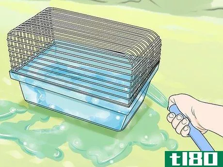 Image titled Get Rid of Mites on Hamsters Step 8