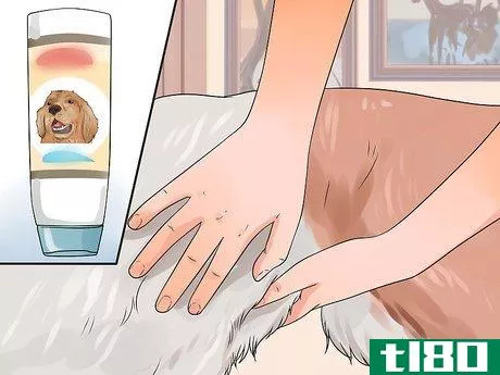 Image titled Groom a Longhair Dog Step 9