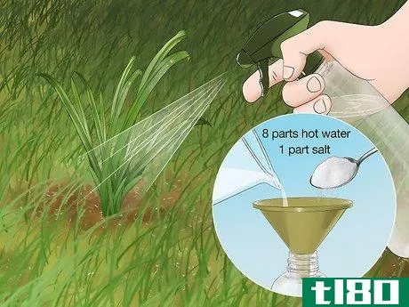 Image titled Get Rid of Weeds Without Killing Grass Step 3