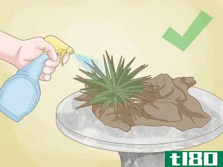 Image titled Grow a Plant Without Soil Step 11