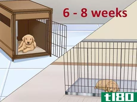 Image titled Know when Puppies Are Ready for New Homes Step 10