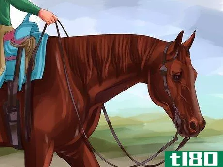 Image titled Keep a Horse Calm While Riding Step 5