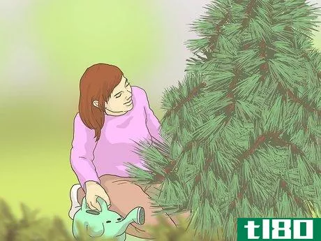Image titled Keep Your Christmas Tree Fresh Longer Step 9