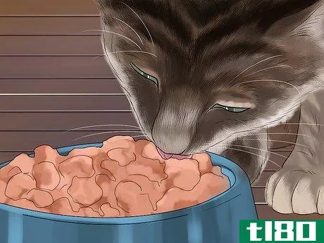 Image titled Know if Your Cat Is Getting Enough Sleep Step 8