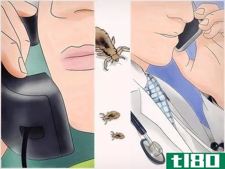 如何除掉超级虱子(get rid of super lice)