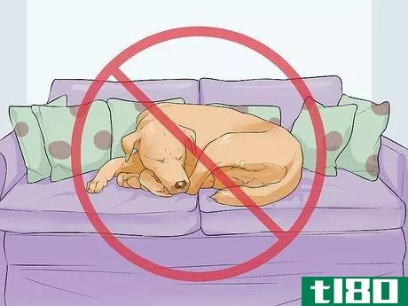 Image titled Handle Sleep Aggression in Senior Dogs Step 10