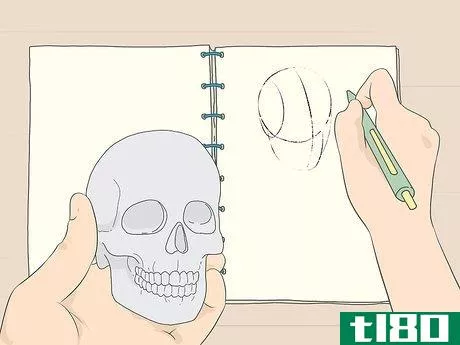 Image titled Learn Anatomy for Drawing Step 4