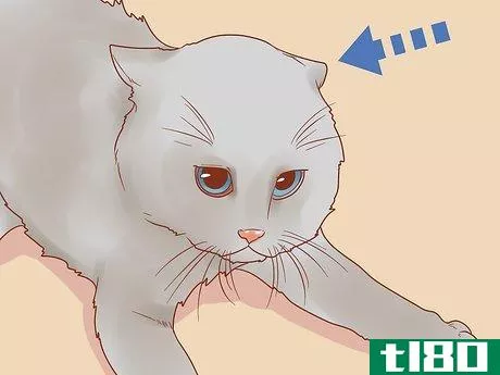 Image titled Know if Your Cat Is Afraid of Something Step 2