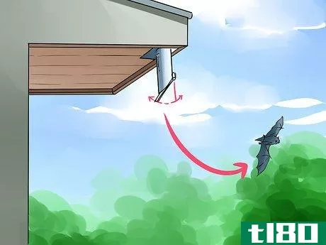Image titled Get Rid of Bats Step 7