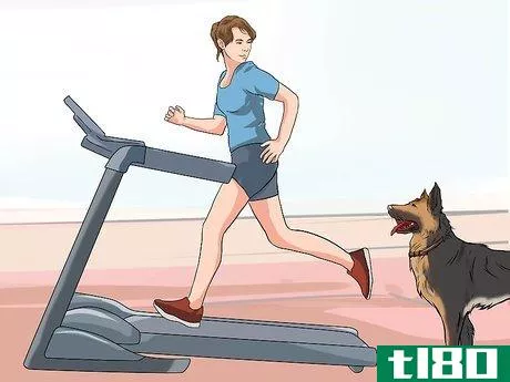 Image titled Get a Dog to Use a Treadmill Step 4