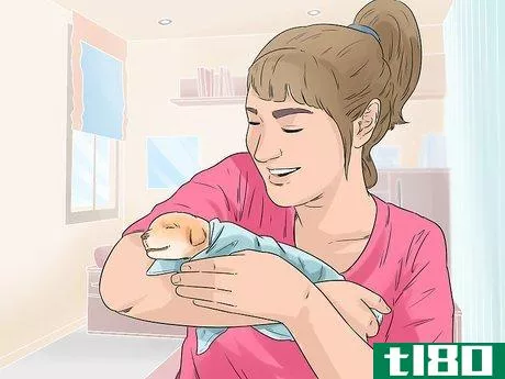 Image titled Give a Newborn Puppy a Bath Step 6