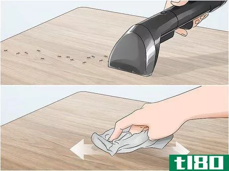 Image titled Kill Household Bugs Step 1