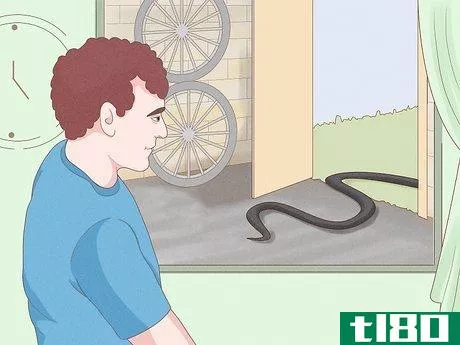 Image titled Get Rid of Snakes Step 2