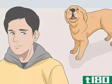 Image titled Keep a Dog in an Apartment That Does Not Allow Dogs Step 2
