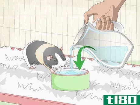 Image titled Keep Your Guinea Pig Cool in Hot Weather Step 5