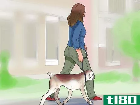 Image titled Hold a Dog's Leash Step 15