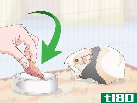 Image titled Give Your Guinea Pig Treats Step 6