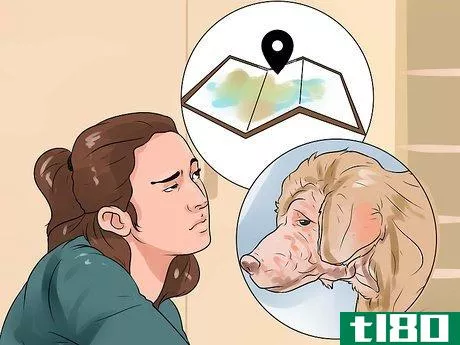 Image titled Identify Mange on Dogs Step 12