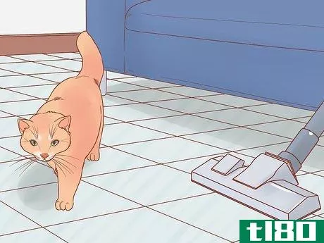 Image titled Know if Your Cat Is Afraid of Something Step 16
