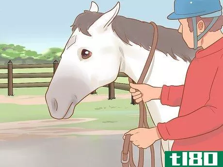 Image titled Halter an Unruly Horse Step 6