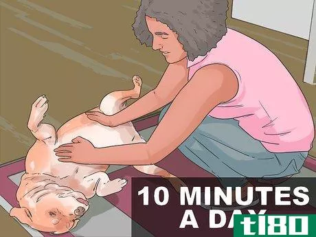 Image titled Get Your Dog to Welcome Your Baby Step 9