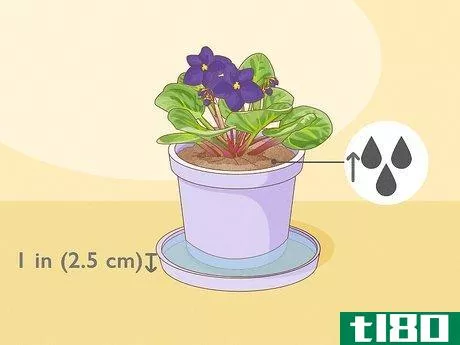 Image titled How Often Do You Water an African Violet Step 3